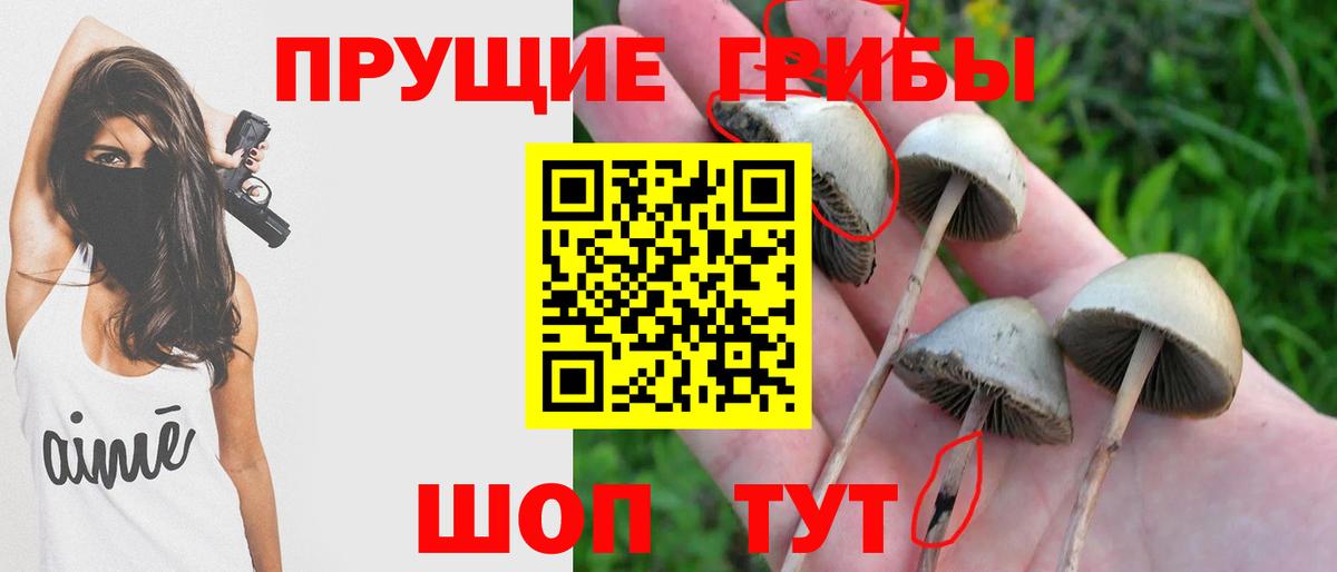 Галлюциногенные грибы Cubensis  Вход с VPN  Конаково  Галлюциногенные грибы Psilocybine cubensis 
